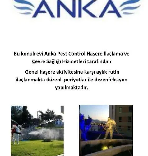 Semesterbostad Urla Sunrise House Ildiri